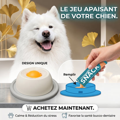 🐶🐱 Gamelle ludique Anti-Glouton pour chien et chats