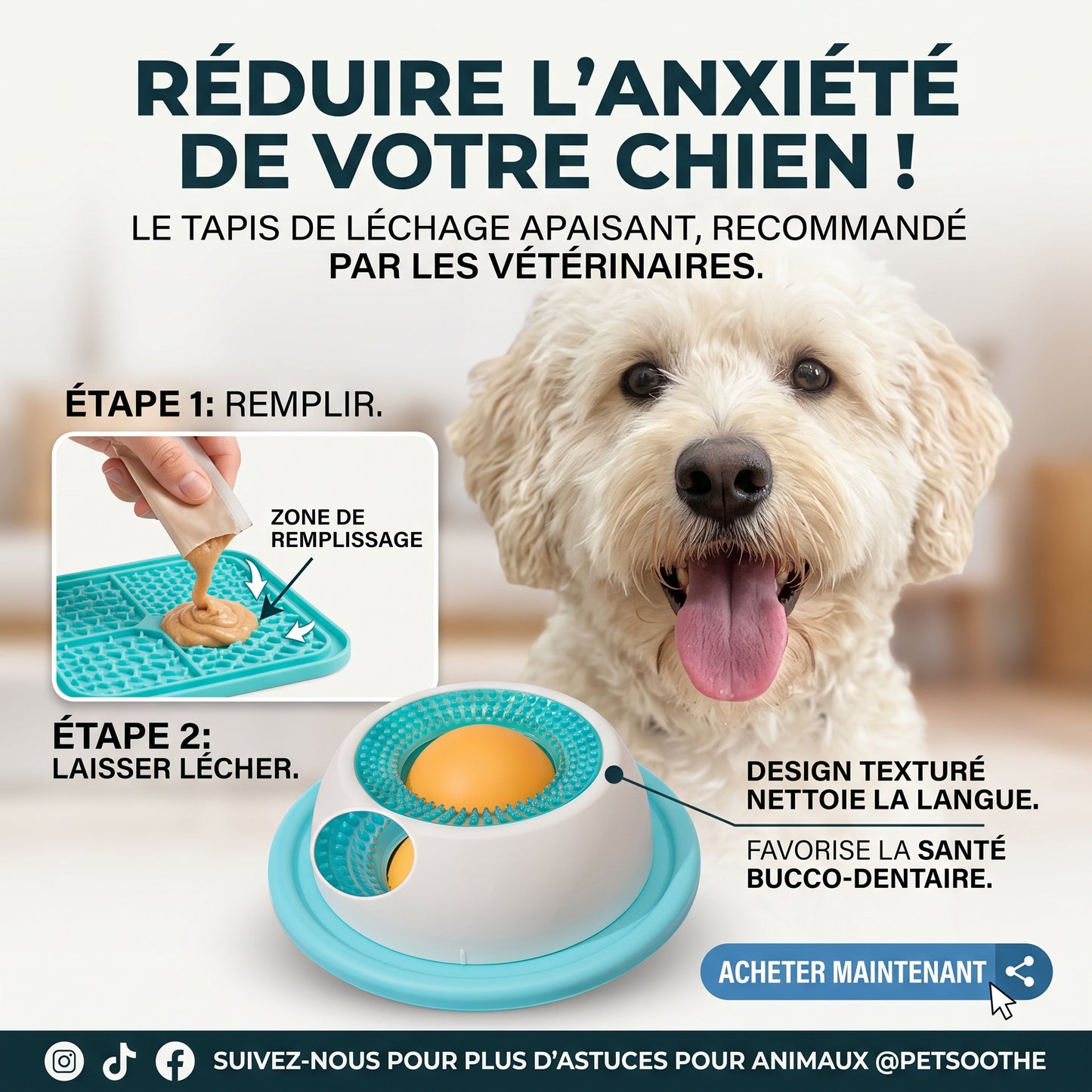 🐶🐱 Gamelle ludique Anti-Glouton pour chien et chats