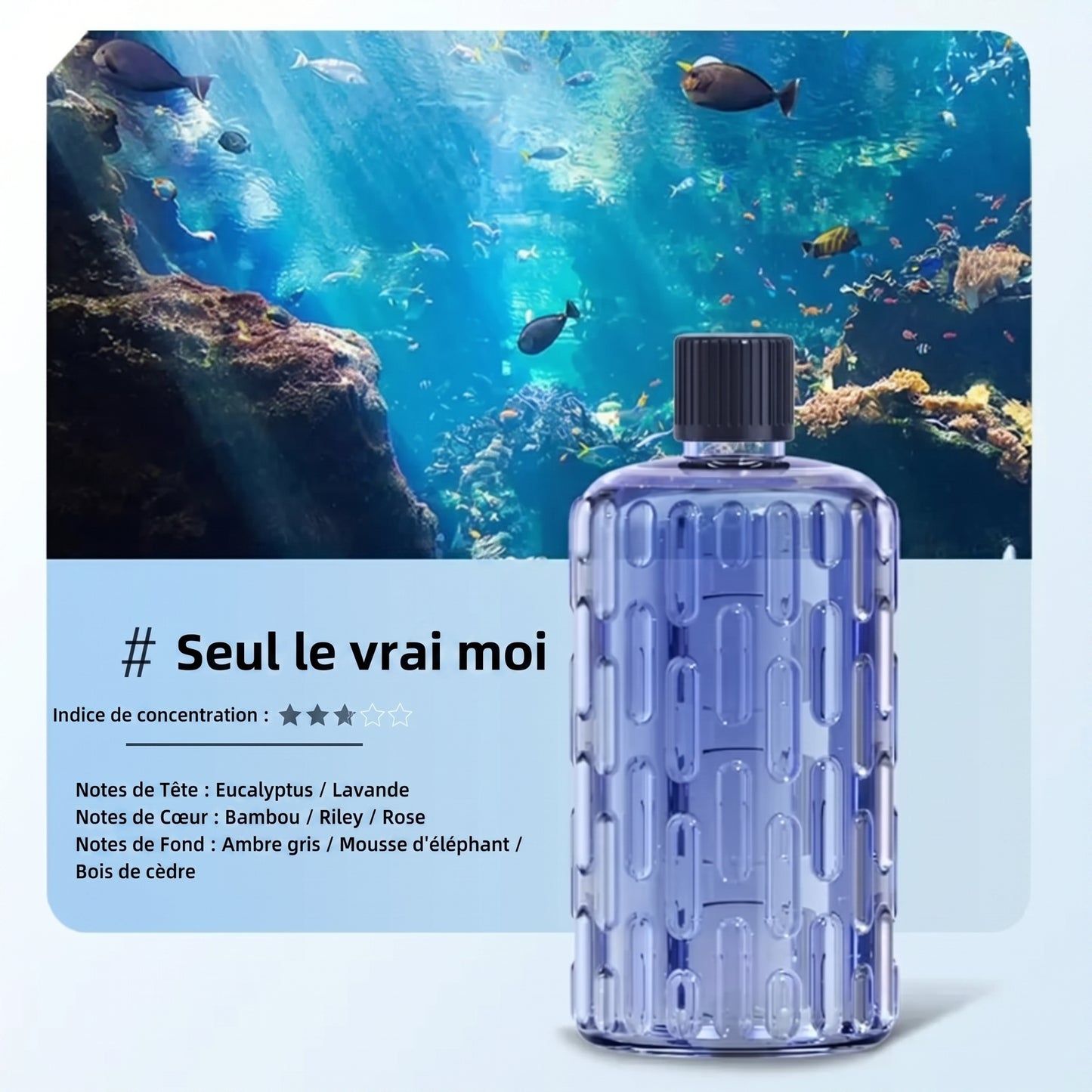 🌸 Diffuseur d’arômes automatique