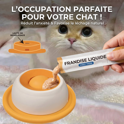 🐶🐱 Gamelle ludique Anti-Glouton pour chien et chats