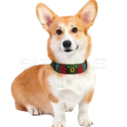 🐶 Collier LED multicolore personnalisable pour chien