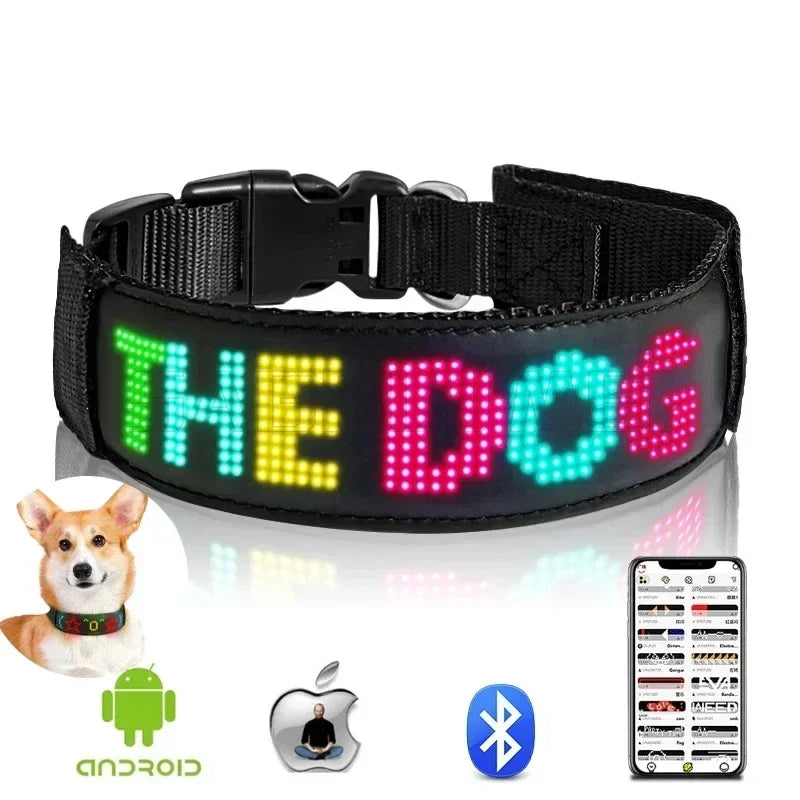 Collier LED personnalisable pour chien