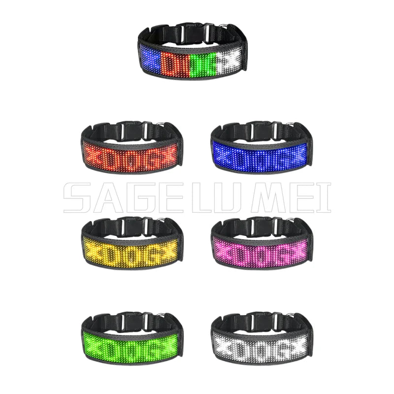 🐶 Collier LED multicolore personnalisable pour chien