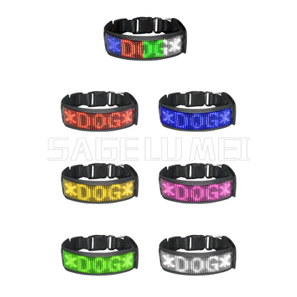 🐶 Collier LED multicolore personnalisable pour chien